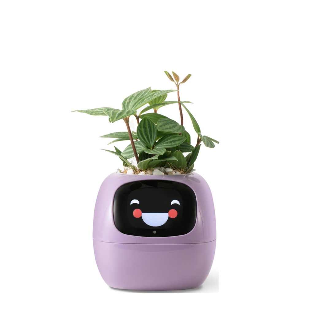 Ivy Smart Planter — Easily Monitor Your Plants with Built-In Sensors