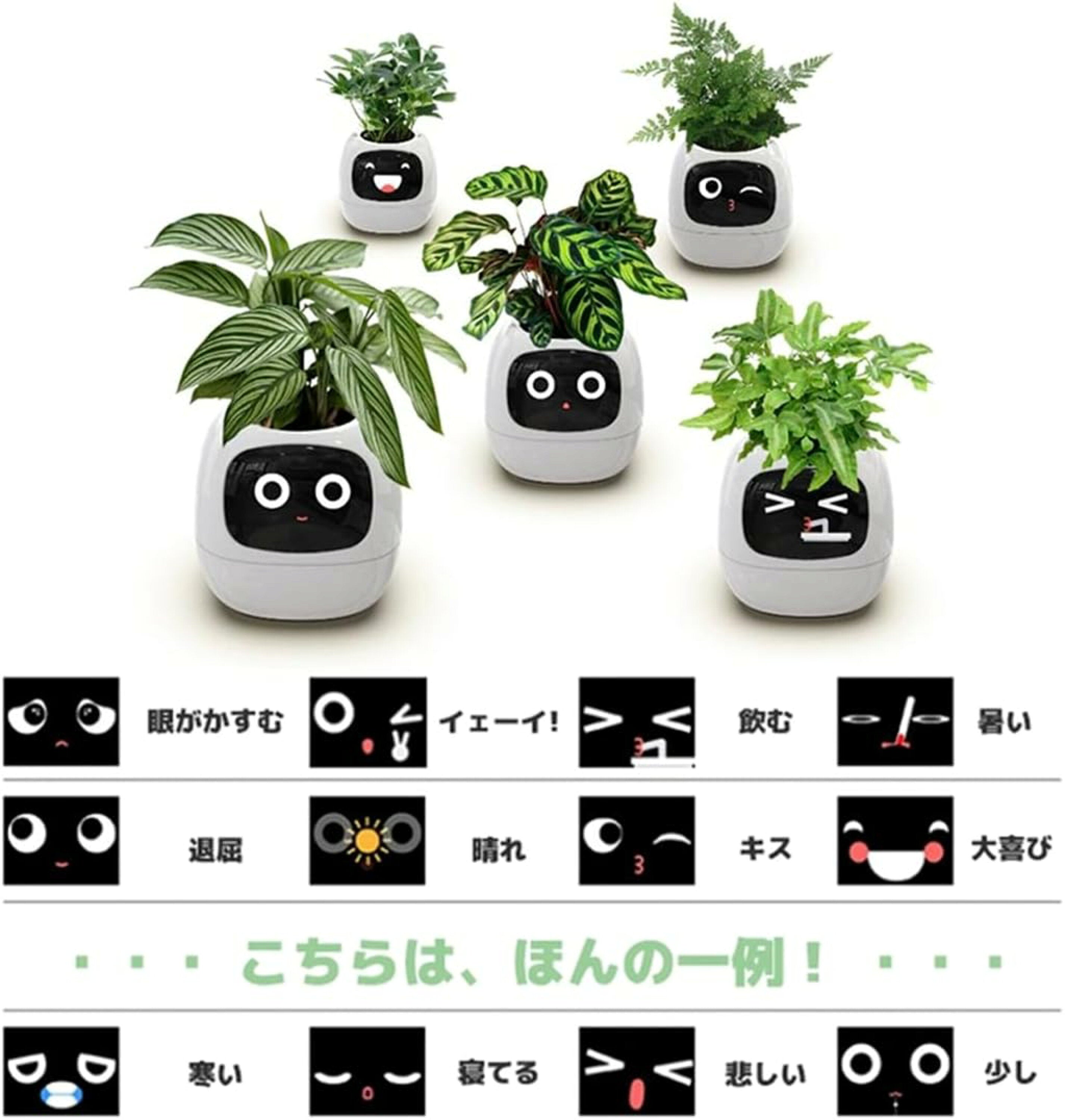 スマートプランター — 手軽に植物を見守るセンサー搭載