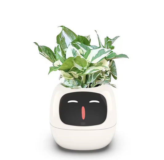 EIKO Smart Planter