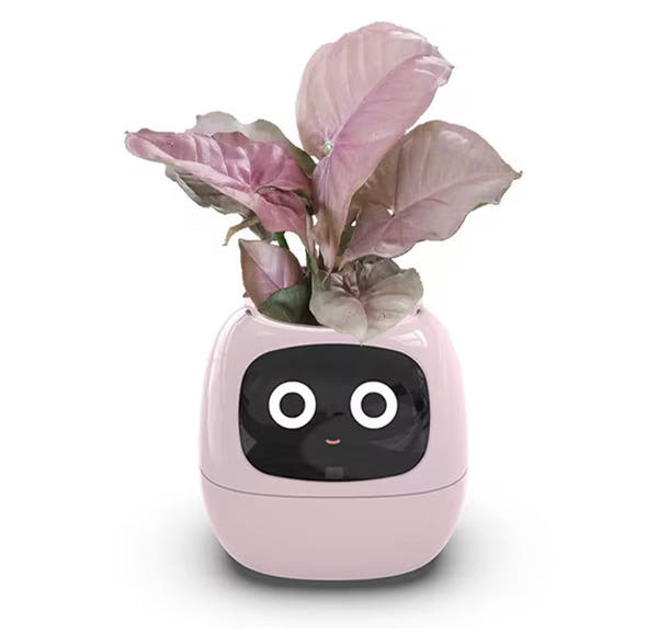 EIKO Smart Planter