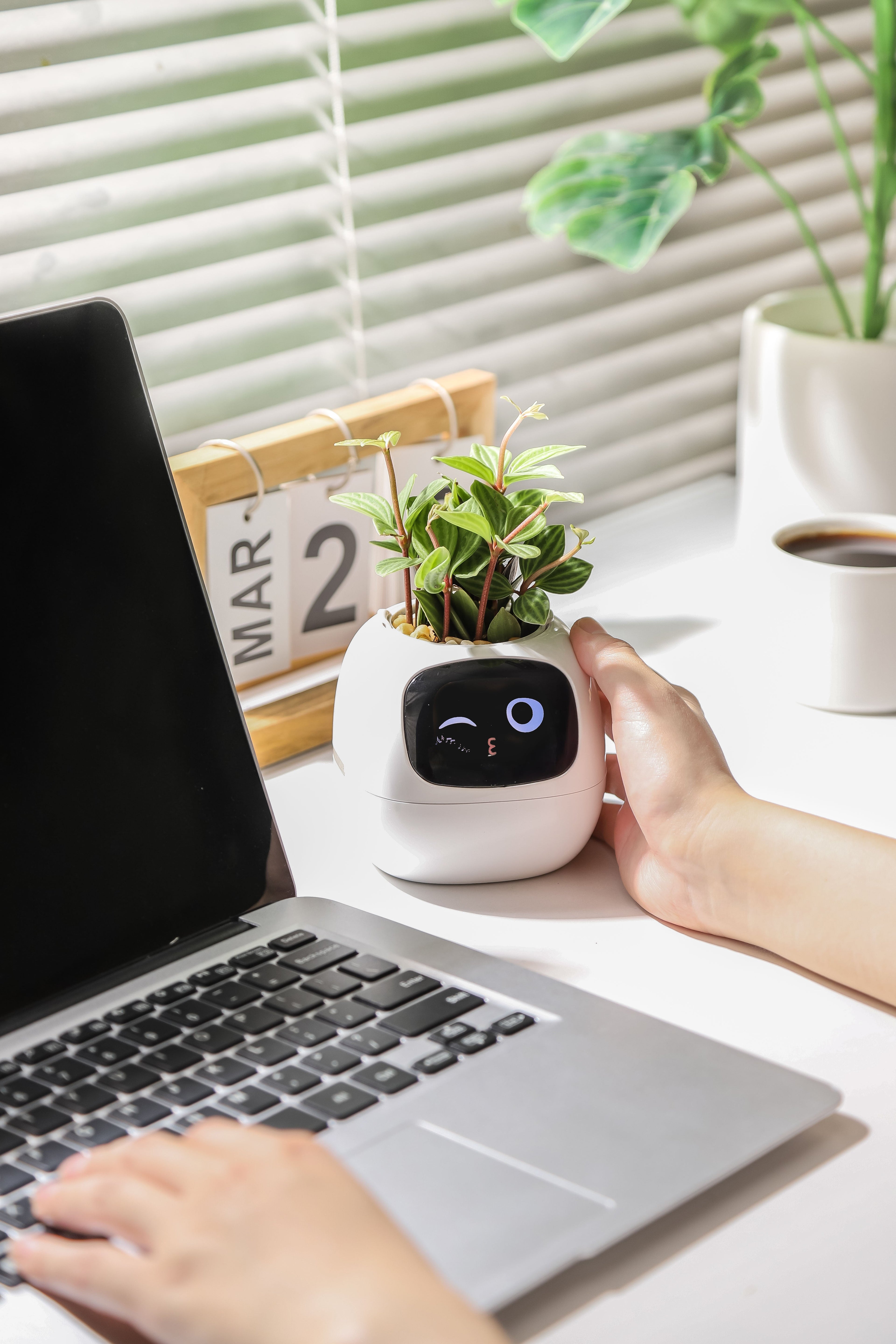 スマートプランター — 手軽に植物を見守るセンサー搭載