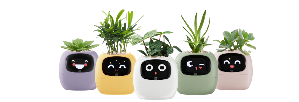 スマートプランター — 手軽に植物を見守るセンサー搭載