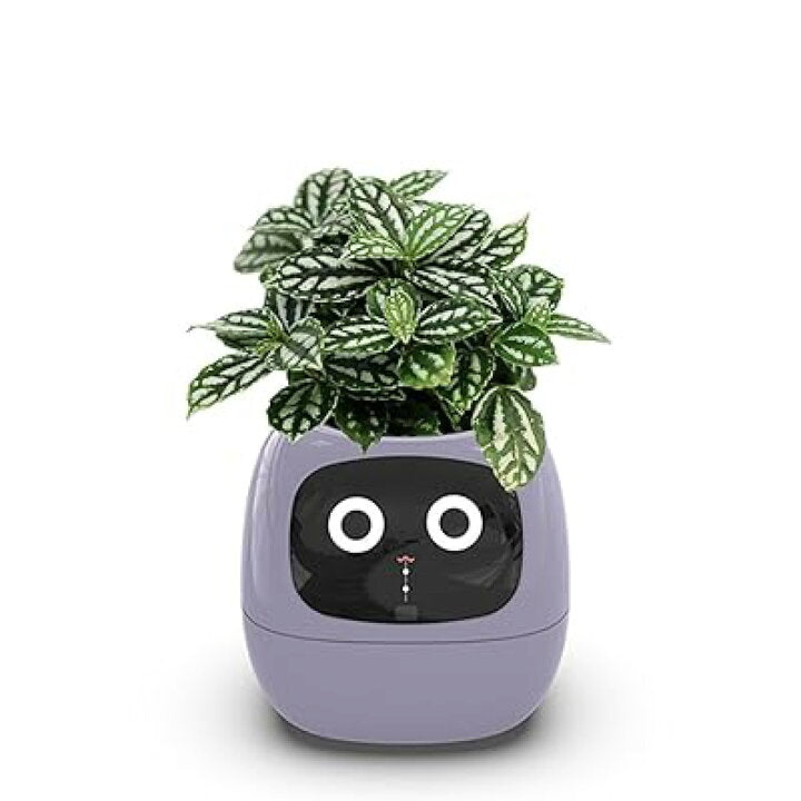 スマートプランター — 手軽に植物を見守るセンサー搭載