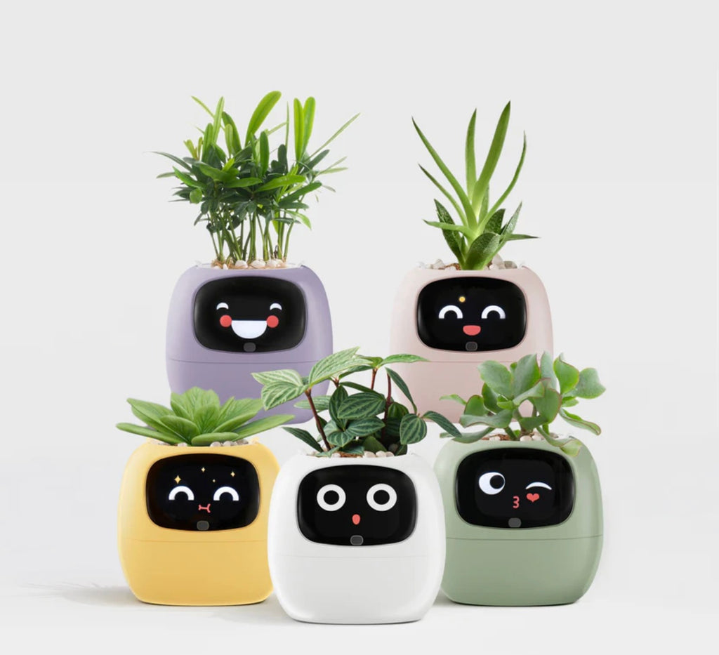 スマートプランター — 手軽に植物を見守るセンサー搭載