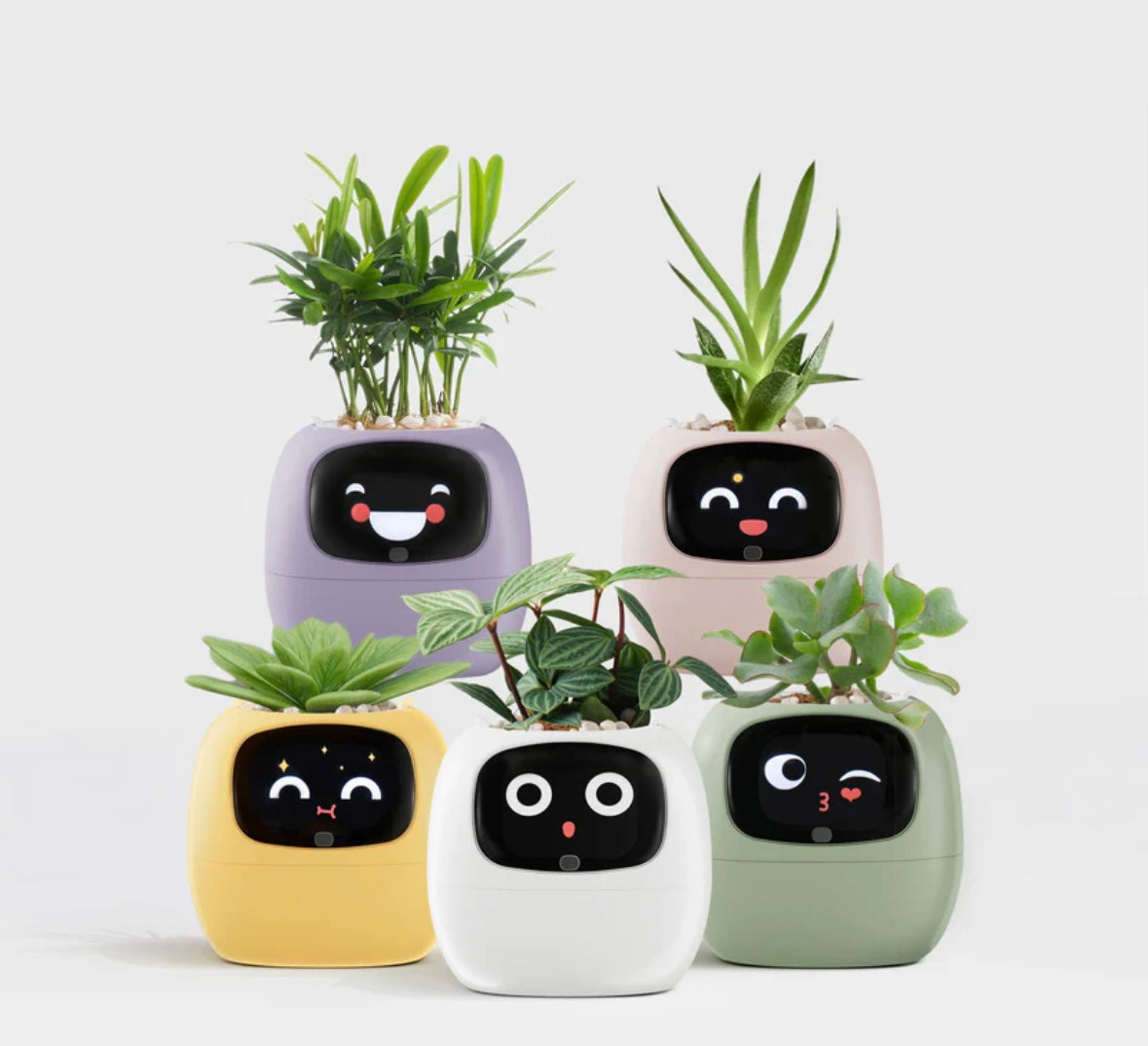 スマートプランター — 手軽に植物を見守るセンサー搭載