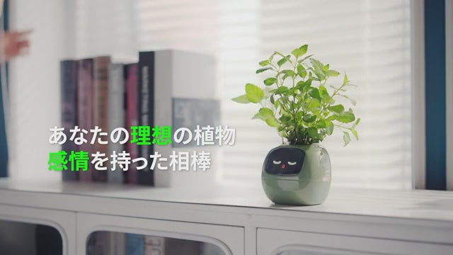 スマートプランター — 手軽に植物を見守るセンサー搭載