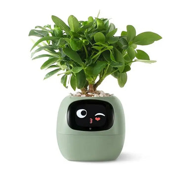 EIKO Smart Planter - Green