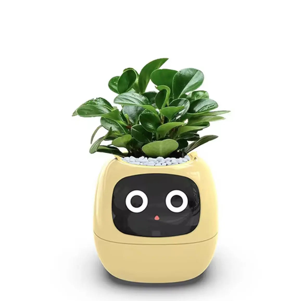 EIKO Smart Planter - Yellow